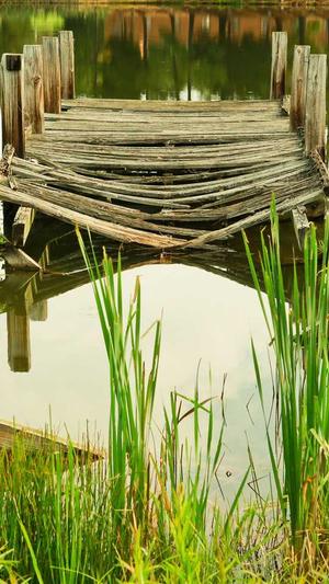 吃瓜 吃土什么意思截图4